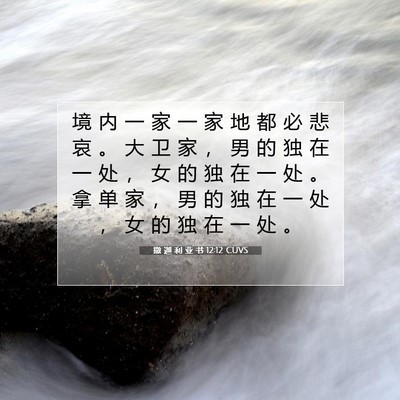 Picture 07 - 撒 迦 利 亚 书 12:12 CUVS - 境 内 一 家 一 家 地 都 必 悲 哀 。 - Bible Verse Picture