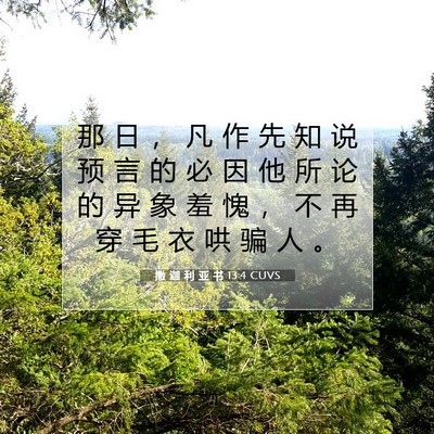 Picture 07 - 撒 迦 利 亚 书 13:4 CUVS - 那 日 ， 凡 作 先 知 说 预 言 的 必 - Bible Verse Picture