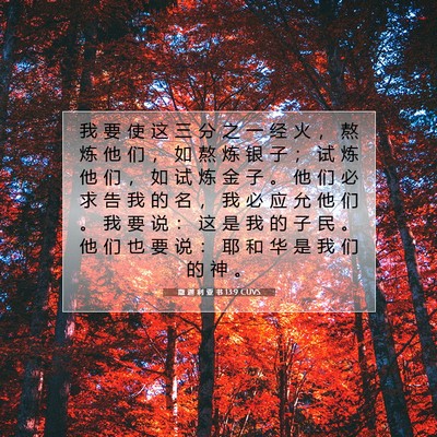 Picture 07 - 撒 迦 利 亚 书 13:9 CUVS - 我 要 使 这 三 分 之 一 经 火 ， 熬 - Bible Verse Picture
