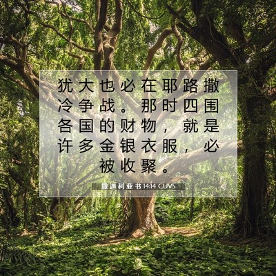 Picture 07 - 撒 迦 利 亚 书 14:14 CUVS - 犹 大 也 必 在 耶 路 撒 冷 争 战 。 - Bible Verse Picture