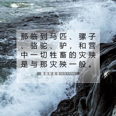 Picture 07 - 撒 迦 利 亚 书 14:15 CUVS - 那 临 到 马 匹 、 骡 子 、 骆 驼 、 - Bible Verse Picture