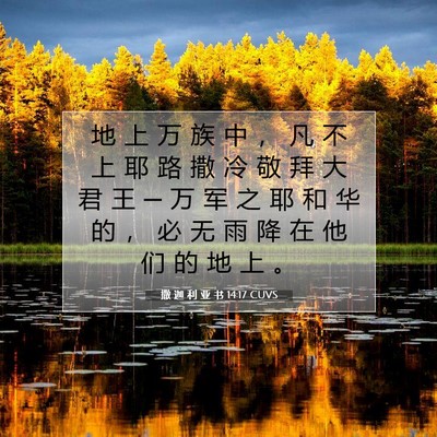 Picture 07 - 撒 迦 利 亚 书 14:17 CUVS - 地 上 万 族 中 ， 凡 不 上 耶 路 撒 - Bible Verse Picture