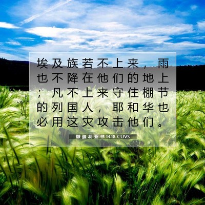 Picture 07 - 撒 迦 利 亚 书 14:18 CUVS - 埃 及 族 若 不 上 来 ， 雨 也 不 降 - Bible Verse Picture