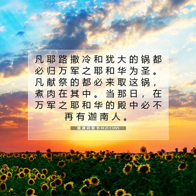 Picture 07 - 撒 迦 利 亚 书 14:21 CUVS - 凡 耶 路 撒 冷 和 犹 大 的 锅 都 必 - Bible Verse Picture