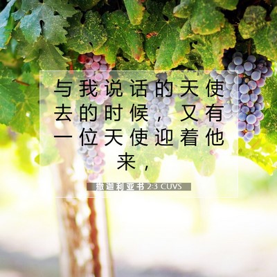 Picture 07 - 撒 迦 利 亚 书 2:3 CUVS - 与 我 说 话 的 天 使 去 的 时 候 ， - Bible Verse Picture