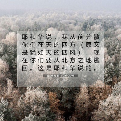 Picture 07 - 撒 迦 利 亚 书 2:6 CUVS - 耶 和 华 说 ： 我 从 前 分 散 你 们 - Bible Verse Picture