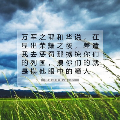 Picture 07 - 撒 迦 利 亚 书 2:8 CUVS - 万 军 之 耶 和 华 说 ， 在 显 出 荣 - Bible Verse Picture