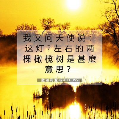Picture 07 - 撒 迦 利 亚 书 4:11 CUVS - 我 又 问 天 使 说 ： 这 灯 ? 左 右 的 - Bible Verse Picture
