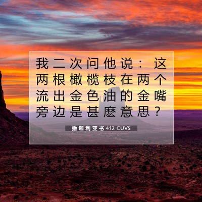 Picture 07 - 撒 迦 利 亚 书 4:12 CUVS - 我 二 次 问 他 说 ： 这 两 根 橄 榄 - Bible Verse Picture