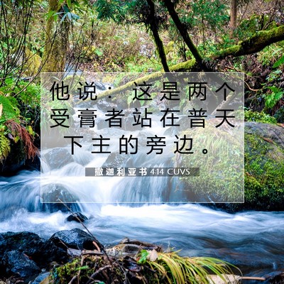 Picture 07 - 撒 迦 利 亚 书 4:14 CUVS - 他 说 ： 这 是 两 个 受 膏 者 站 在 - Bible Verse Picture