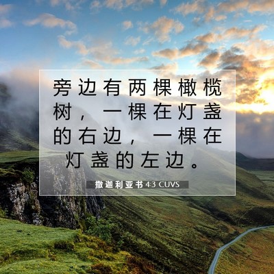 Picture 07 - 撒 迦 利 亚 书 4:3 CUVS - 旁 边 有 两 棵 橄 榄 树 ， 一 棵 在 - Bible Verse Picture