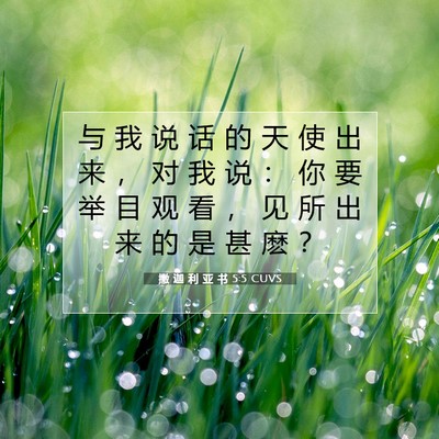 Picture 07 - 撒 迦 利 亚 书 5:5 CUVS - 与 我 说 话 的 天 使 出 来 ， 对 我 - Bible Verse Picture