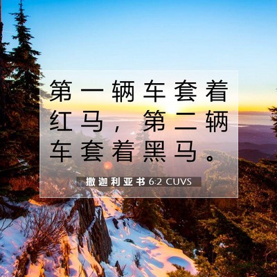 Picture 07 - 撒 迦 利 亚 书 6:2 CUVS - 第 一 辆 车 套 着 红 马 ， 第 二 辆 - Bible Verse Picture
