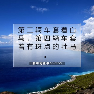 Picture 07 - 撒 迦 利 亚 书 6:3 CUVS - 第 三 辆 车 套 着 白 马 ， 第 四 辆 - Bible Verse Picture