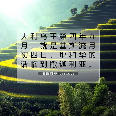 Picture 07 - 撒 迦 利 亚 书 7:1 CUVS - 大 利 乌 王 第 四 年 九 月 ， 就 是 - Bible Verse Picture