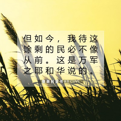 Picture 07 - 撒 迦 利 亚 书 8:11 CUVS - 但 如 今 ， 我 待 这 馀 剩 的 民 必 - Bible Verse Picture