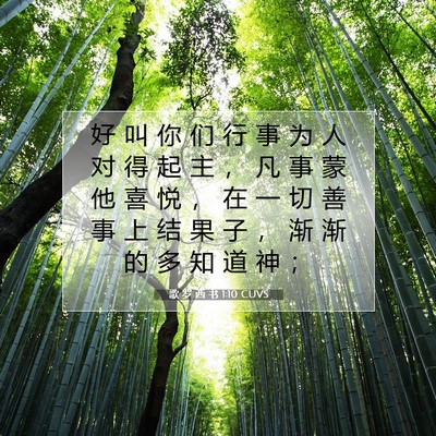 Picture 07 - 歌 罗 西 书 1:10 CUVS - 好 叫 你 们 行 事 为 人 对 得 起 主 - Bible Verse Picture