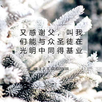 Picture 07 - 歌 罗 西 书 1:12 CUVS - 又 感 谢 父 ， 叫 我 们 能 与 众 圣 - Bible Verse Picture