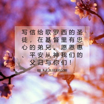 Picture 07 - 歌 罗 西 书 1:2 CUVS - 写 信 给 歌 罗 西 的 圣 徒 ， 在 基 - Bible Verse Picture