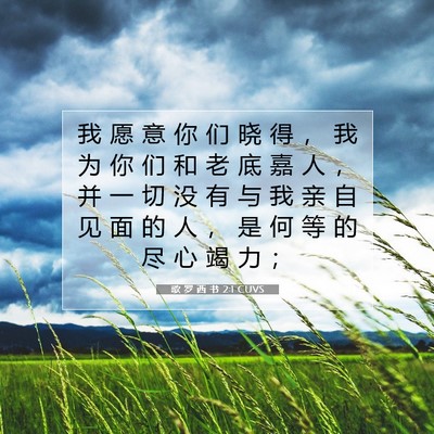 Picture 07 - 歌 罗 西 书 2:1 CUVS - 我 愿 意 你 们 晓 得 ， 我 为 你 们 - Bible Verse Picture