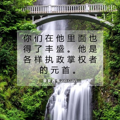 Picture 07 - 歌 罗 西 书 2:10 CUVS - 你 们 在 他 里 面 也 得 了 丰 盛 。 - Bible Verse Picture