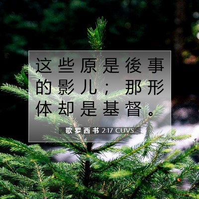 Picture 07 - 歌 罗 西 书 2:17 CUVS - 这 些 原 是 後 事 的 影 儿 ； 那 形 - Bible Verse Picture