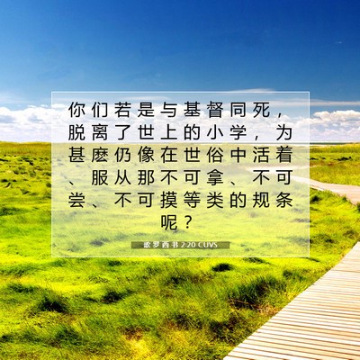 Picture 07 - 歌 罗 西 书 2:20 CUVS - 你 们 若 是 与 基 督 同 死 ， 脱 离 - Bible Verse Picture
