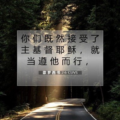 Picture 07 - 歌 罗 西 书 2:6 CUVS - 你 们 既 然 接 受 了 主 基 督 耶 稣 - Bible Verse Picture