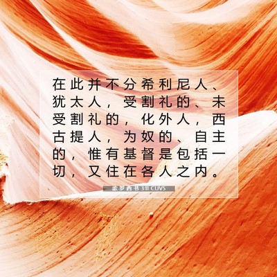 Picture 07 - 歌 罗 西 书 3:11 CUVS - 在 此 并 不 分 希 利 尼 人 、 犹 太 - Bible Verse Picture