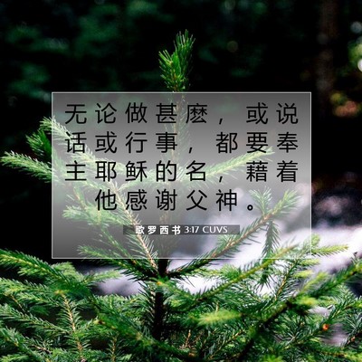 Picture 07 - 歌 罗 西 书 3:17 CUVS - 无 论 做 甚 麽 ， 或 说 话 或 行 事 - Bible Verse Picture