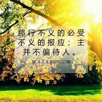 Picture 07 - 歌 罗 西 书 3:25 CUVS - 那 行 不 义 的 必 受 不 义 的 报 应 - Bible Verse Picture