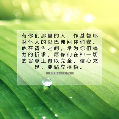 Picture 07 - 歌 罗 西 书 4:12 CUVS - 有 你 们 那 里 的 人 ， 作 基 督 耶 - Bible Verse Picture