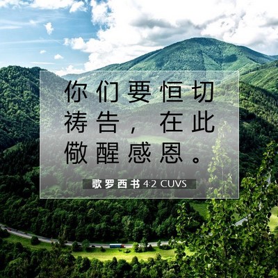 Picture 07 - 歌 罗 西 书 4:2 CUVS - 你 们 要 恒 切 祷 告 ， 在 此 儆 醒 - Bible Verse Picture