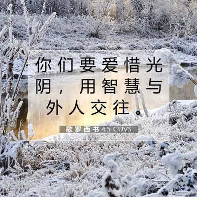 Picture 07 - 歌 罗 西 书 4:5 CUVS - 你 们 要 爱 惜 光 阴 ， 用 智 慧 与 - Bible Verse Picture