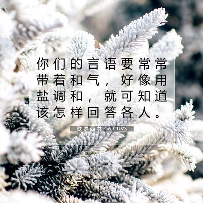 Picture 07 - 歌 罗 西 书 4:6 CUVS - 你 们 的 言 语 要 常 常 带 着 和 气 - Bible Verse Picture