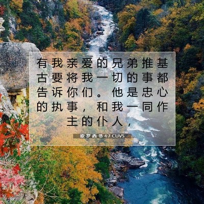 Picture 07 - 歌 罗 西 书 4:7 CUVS - 有 我 亲 爱 的 兄 弟 推 基 古 要 将 - Bible Verse Picture