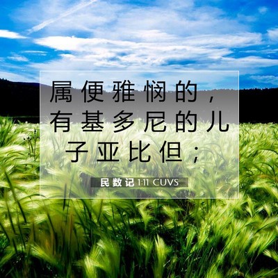Picture 07 - 民 数 记 1:11 CUVS - 属 便 雅 悯 的 ， 有 基 多 尼 的 儿 - Bible Verse Picture