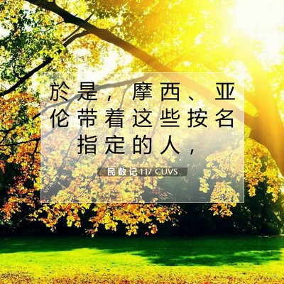 Picture 07 - 民 数 记 1:17 CUVS - 於 是 ， 摩 西 、 亚 伦 带 着 这 些 - Bible Verse Picture