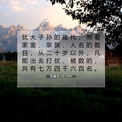 Picture 07 - 民 数 记 1:26 CUVS - 犹 大 子 孙 的 後 代 ， 照 着 家 室 - Bible Verse Picture