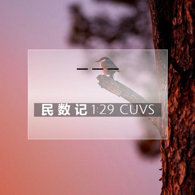 Picture 07 - 民 数 记 1:29 CUVS -  - Bible Verse Picture