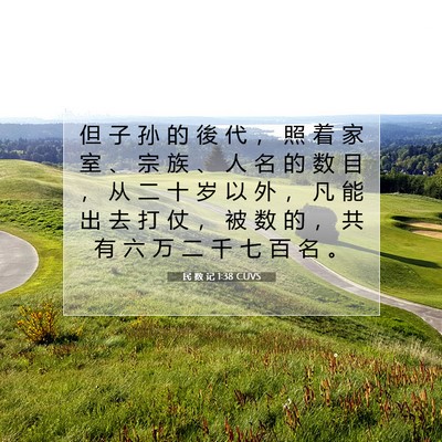 Picture 07 - 民 数 记 1:38 CUVS - 但 子 孙 的 後 代 ， 照 着 家 室 、 - Bible Verse Picture