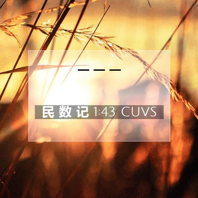 Picture 07 - 民 数 记 1:43 CUVS -  - Bible Verse Picture
