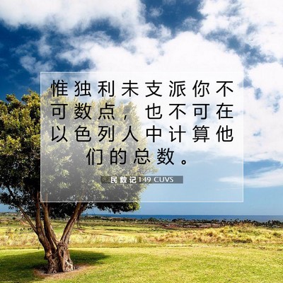 Picture 07 - 民 数 记 1:49 CUVS - 惟 独 利 未 支 派 你 不 可 数 点 ， - Bible Verse Picture