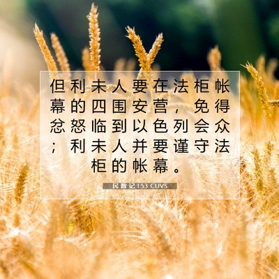 Picture 07 - 民 数 记 1:53 CUVS - 但 利 未 人 要 在 法 柜 帐 幕 的 四 - Bible Verse Picture
