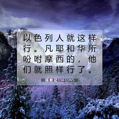 Picture 07 - 民 数 记 1:54 CUVS - 以 色 列 人 就 这 样 行 。 凡 耶 和 - Bible Verse Picture