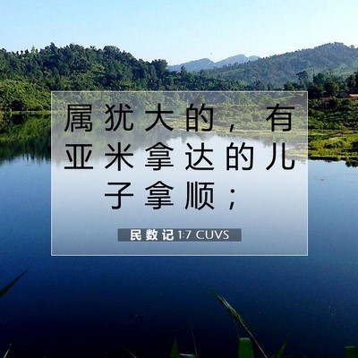 Picture 07 - 民 数 记 1:7 CUVS - 属 犹 大 的 ， 有 亚 米 拿 达 的 儿 - Bible Verse Picture