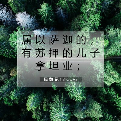 Picture 07 - 民 数 记 1:8 CUVS - 属 以 萨 迦 的 ， 有 苏 押 的 儿 子 - Bible Verse Picture