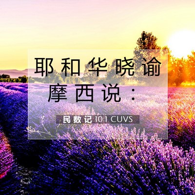 Picture 07 - 民 数 记 10:1 CUVS - 耶 和 华 晓 谕 摩 西 说 - Bible Verse Picture