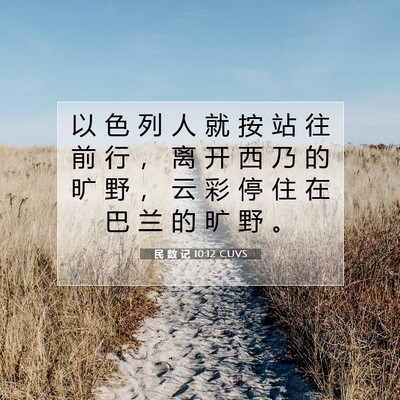Picture 07 - 民 数 记 10:12 CUVS - 以 色 列 人 就 按 站 往 前 行 ， 离 - Bible Verse Picture