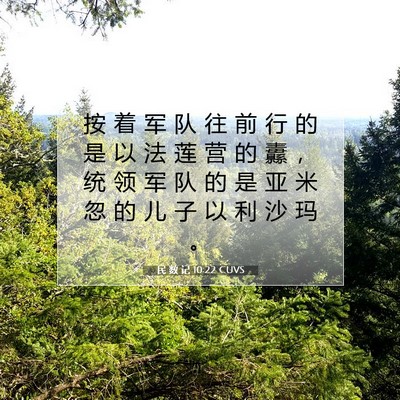 Picture 07 - 民 数 记 10:22 CUVS - 按 着 军 队 往 前 行 的 是 以 法 莲 - Bible Verse Picture